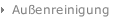 Außenreinigung